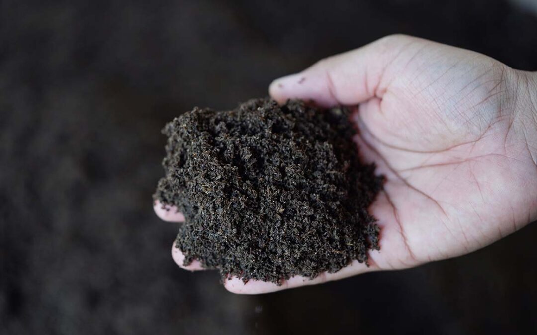 humus-de-lombriz