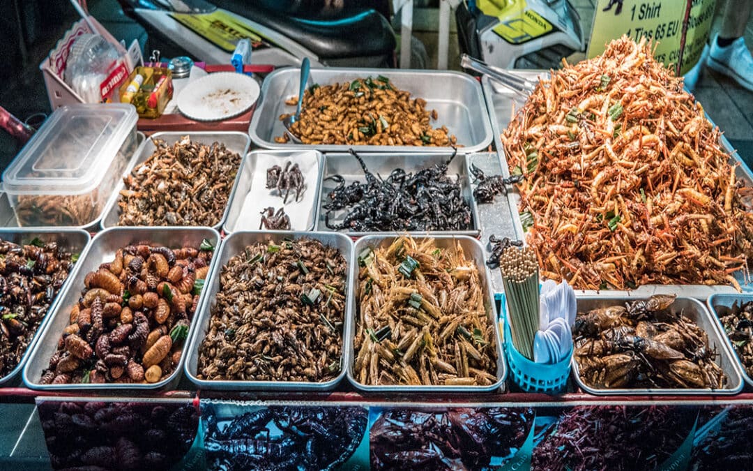 Proteina de Insectos