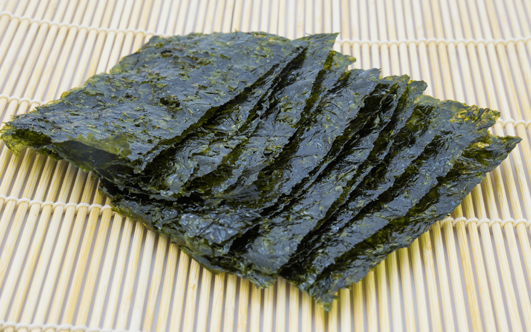 Algas Marinas Comestibles